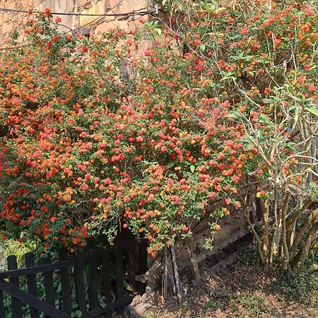 Daire El Observatoriu Arcturus *